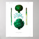 Recherche de artichaut posters Vintage