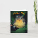 Recherche de bird remerciements cartes Mignon