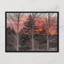 Recherche de nue cartes postales Branches nues
