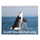 Recherche de mer salish Baleines