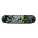 Recherche de paon skateboards Animaux
