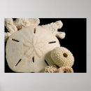 Recherche de copie de grand format posters Cindy miller hopkins