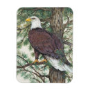 Recherche de animaux sauvages magnets Arbre