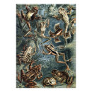 Recherche de naturaliste posters Animal