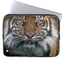 Recherche de zoo ordinateurs portables protections Smithsonien