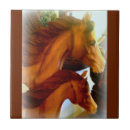 Recherche de poney de carreaux Poneys