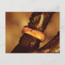 Recherche de j r r tolkien cartes postales Retour du roi