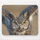Recherche de grand observé tapis souris Grande année