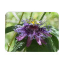 Recherche de passion magnets Fleur