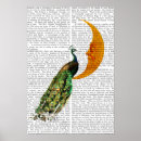 Recherche de paon posters Animaux