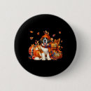 Recherche de st bernard badges Action de grâce
