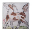 Recherche de poney carreaux Équin