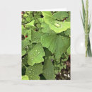 Recherche de feuille de ginkgo vœux cartes Arbre