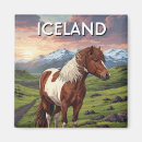 Recherche de islandais magnets Travel