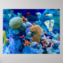 Recherche de poissons exotiques posters Corail
