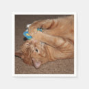 Recherche de tigre serviettes Photographie