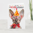 Recherche de chat de sphynx vœux cartes Chats