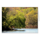 Recherche de papier dinde photographie Paysage