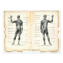 Recherche de muscle humain posters Anatomique