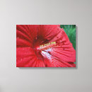 Recherche de macros impressions sur toile Gouttes