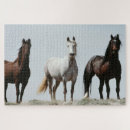 Recherche de étalon puzzles Ferme