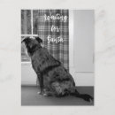 Recherche de noël australien cartes postales Chien