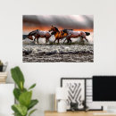 Recherche de étalon posters Beau