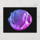 Recherche de dessin anatomique cartes postales Vintage