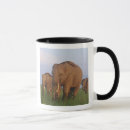 Recherche de défenses tasses Ie