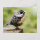 Recherche de concentré cartes postales Jour