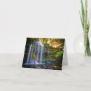 Recherche de cascade vœux cartes Forêt