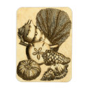 Recherche de méduse magnets Poisson étoile