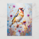 Recherche de chardonnerets cartes postales Nature