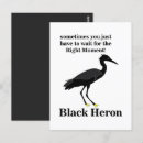 Recherche de oiseaux noirs cartes postales Floride