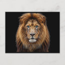 Recherche de yeux de lion cartes postales Pour tous