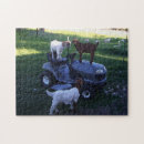 Recherche de moteur puzzles Ferme