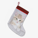Recherche de chat orange chaussette de noël Tabby