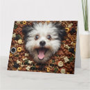 Recherche de bichons vœux cartes Pour tous
