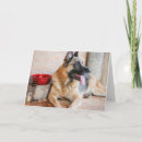 Recherche de german shepherd vœux cartes Mignon