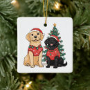 Recherche de labrador retriever ornements Chiot