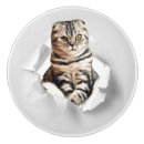 Recherche de cat boutons et poignées de porte Drôle
