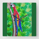 Recherche de écarlate horloges Macaw
