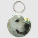 Recherche de pyrénées porteclés Grand