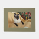 Recherche de point de joint Chat siamois