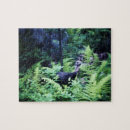 Recherche de fougère puzzles Bois