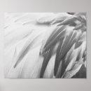 Recherche de gris rose posters Peinture murale