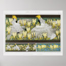 Recherche de cacatoes posters Animal