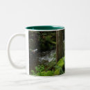 Recherche de fern tasses Fougères