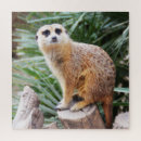 Recherche de meerkat puzzles Noël