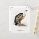 Recherche de griffons cartes postales Aigle